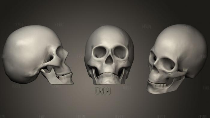 Human Skull 22 stl model for CNC